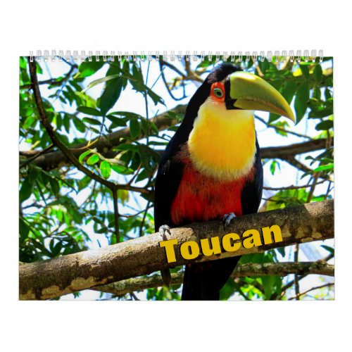 Toucan Birds Calendar