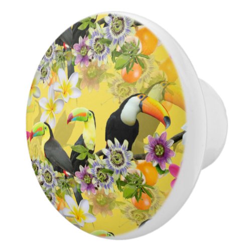 Toucan Birds Passion Flowers Plumeria Tropical C Ceramic Knob