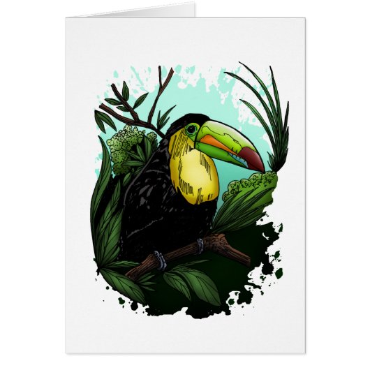 Toucan Cards (Front)