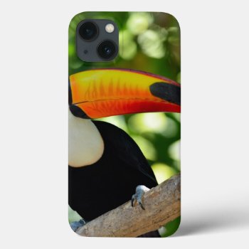 Toucan Iphone 13 Case by wildlifecollection at Zazzle