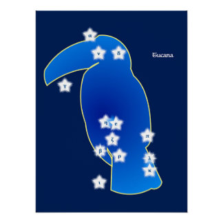 Toucan Constellation Poster