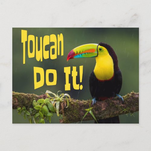 Toucan Do It Colorful Bird Motivational Funny Pun Postcard