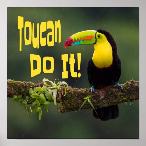 Toucan Do It Colorful Bird Motivational Funny Pun Poster