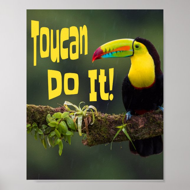 Toucan Do It! Colorful Bird Motivational Funny Pun Poster (Front)