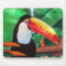 Toucan Exotic Jungle Bird Wildlife Mouse Pad Art