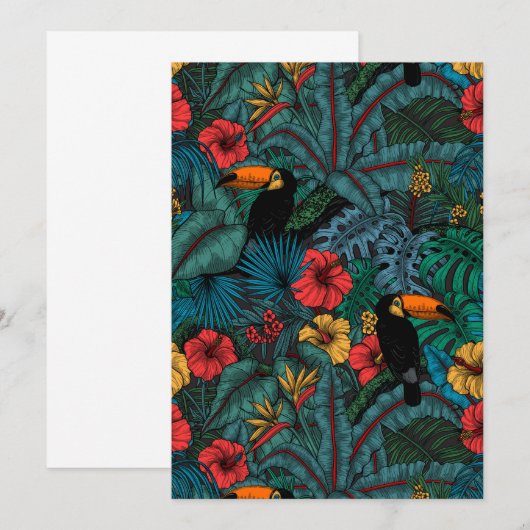 Toucan garden (Front/Back)