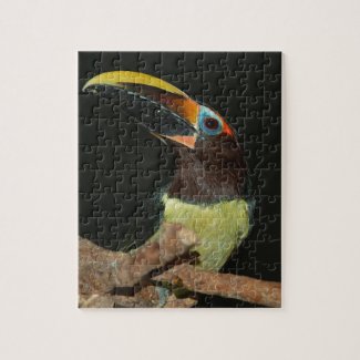 Toucan gift jigsaw puzzle