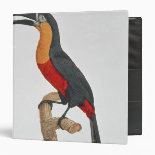 Toucan: Great Red-Bellied by Jacques Barraband 3 Ring Binder