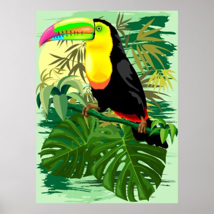 Toucan in Green Amazonia Rainforest Poster