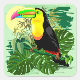 Toucan in Green Amazonia Rainforest Square Sticker