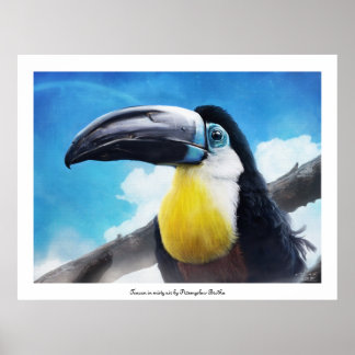 Toucan  in misty air poster