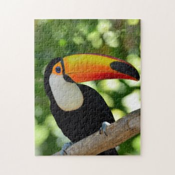 Toucan Jigsaw Puzzle by wildlifecollection at Zazzle