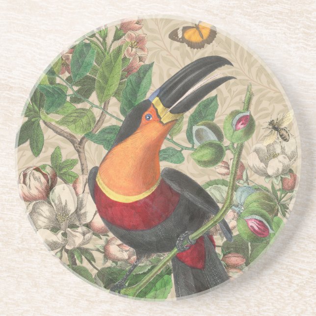Toucan Jungle Tropical Bird Beautiful Antique Coaster (Front)