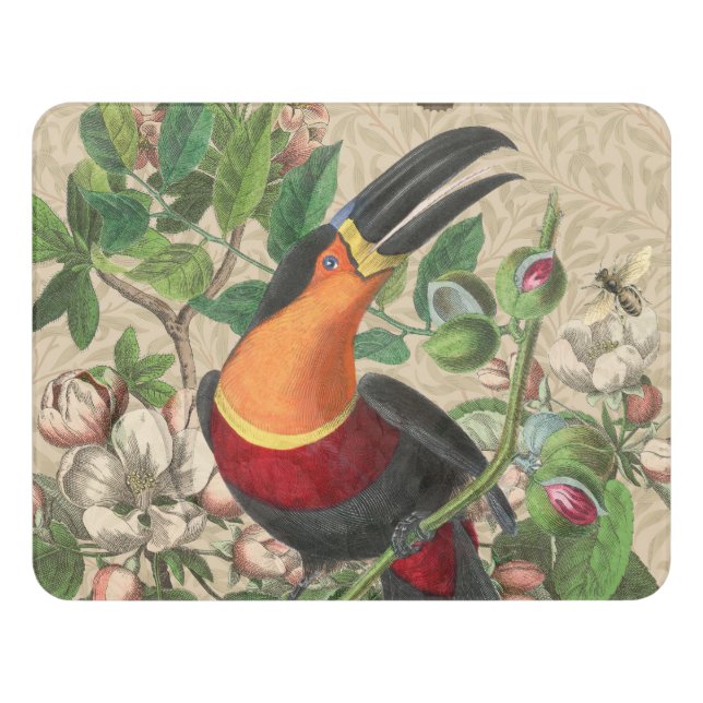 Toucan Jungle Tropical Bird Beautiful Antique Door Sign (Contemporary Front)