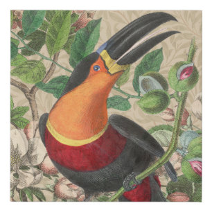 Toucan Jungle Tropical Bird Beautiful Antique Faux Canvas Print