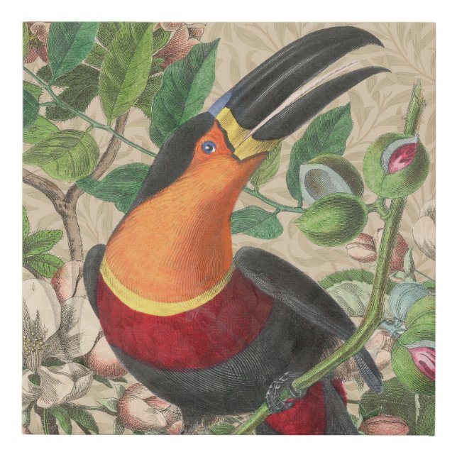 Toucan Jungle Tropical Bird Beautiful Antique Faux Canvas Print (Front)