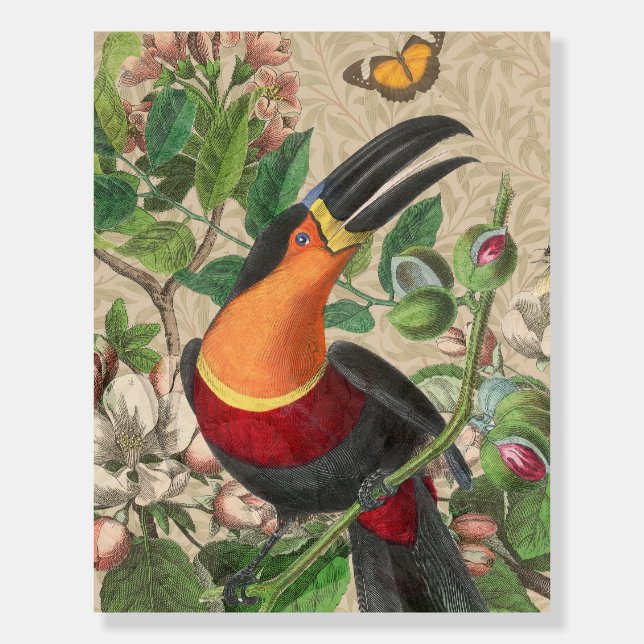 Toucan Jungle Tropical Bird Beautiful Antique Foam Board (Front)