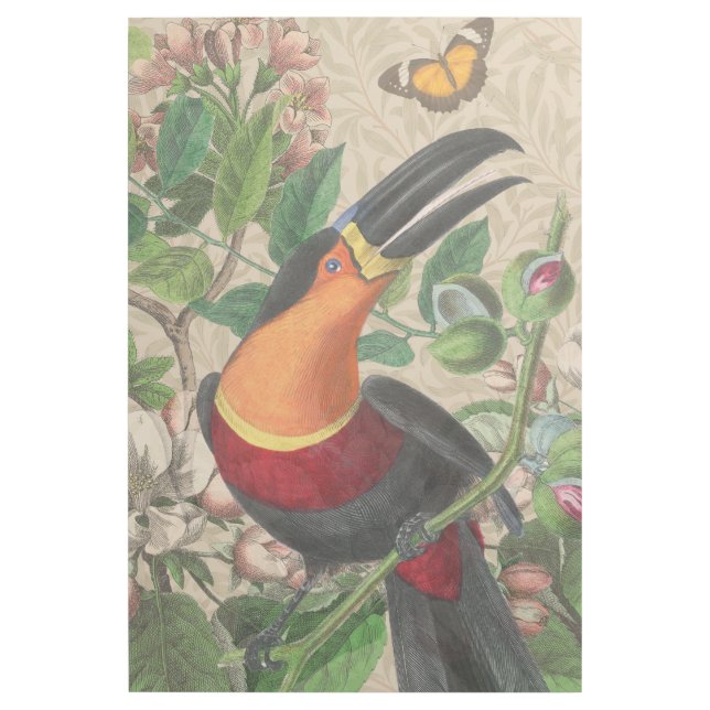 Toucan Jungle Tropical Bird Beautiful Antique Gallery Wrap (Front)