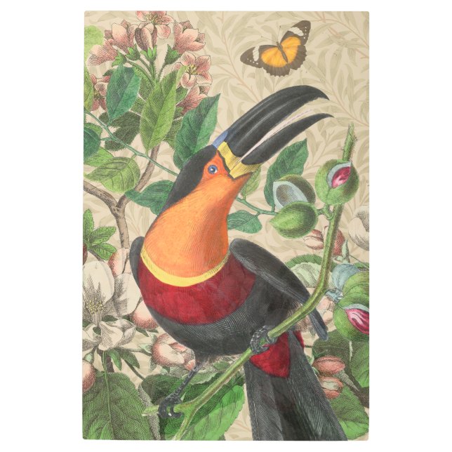 Toucan Jungle Tropical Bird Beautiful Antique Metal Print (Front)