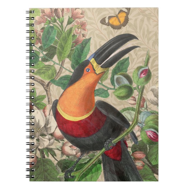 Toucan Jungle Tropical Bird Beautiful Antique Notebook (Front)