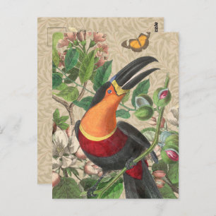 Toucan Jungle Tropical Bird Beautiful Antique Postcard