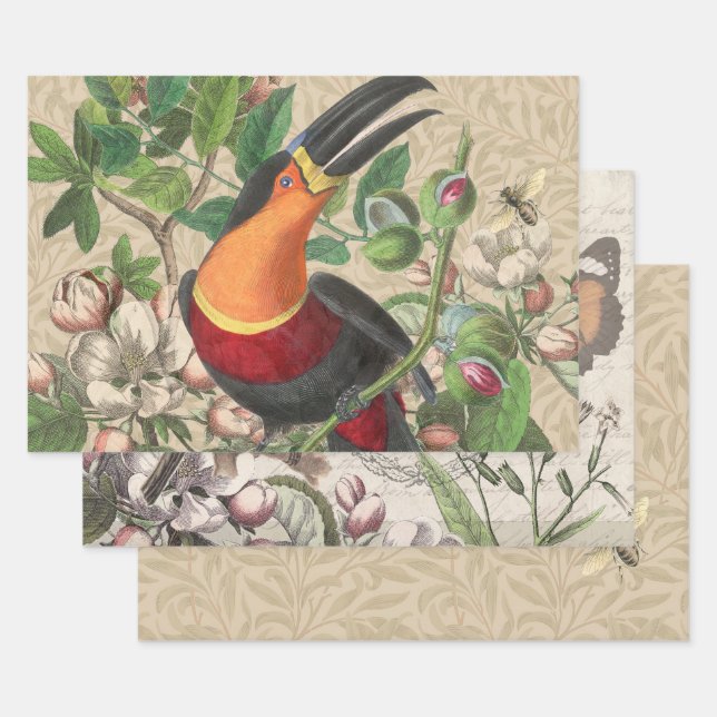 Toucan Jungle Tropical Bird Beautiful Antique Wrapping Paper Sheets (Set)