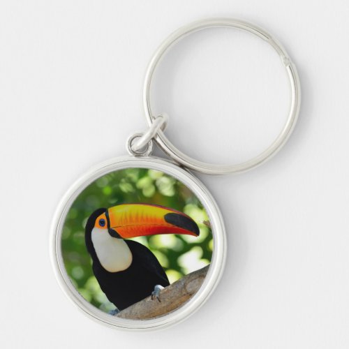 Toucan Keychain