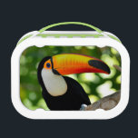 Toucan Lunch Box<br><div class="desc">toucan outdoor - Ramphastos sulphuratus © and ® Bigstock® - All Rights Reserved.</div>