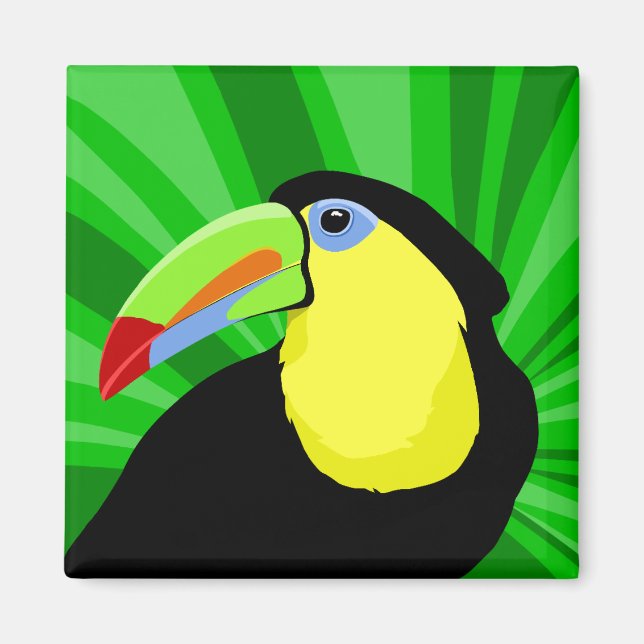 Toucan Magnets (Front)