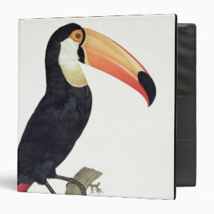 Toucan No.2, from 'History of the Birds of Paradis 3 Ring Binder
