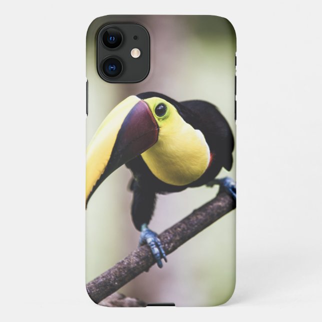 Toucan of Costa Rica iPhone Case (Back)
