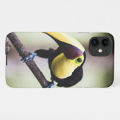 Toucan of Costa Rica iPhone Case (Back Horizontal)