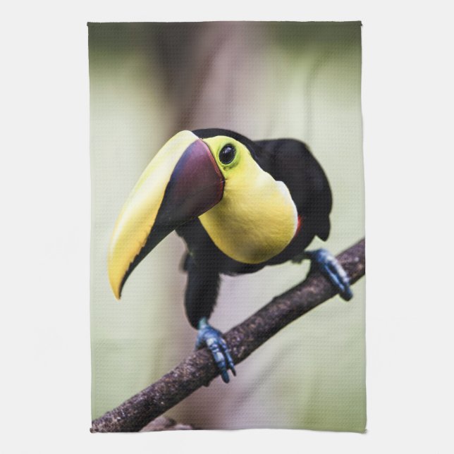 Toucan of Costa Rica Kitchen Towel (Vertical)
