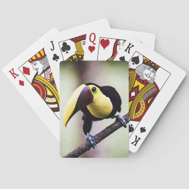 Toucan of Costa Rica Poker Cards (Back)
