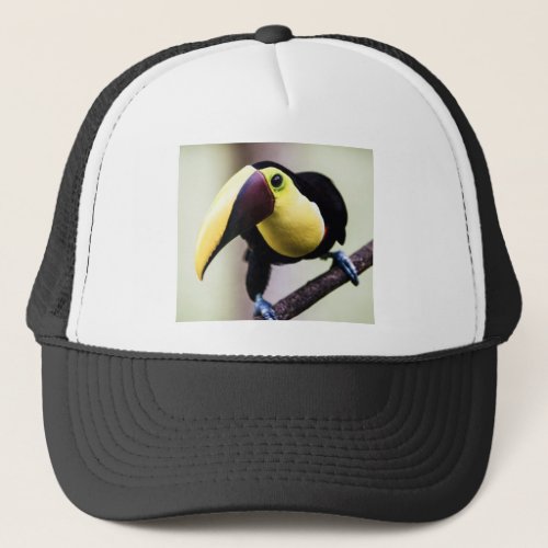 Toucan of Costa Rica Trucker Hat