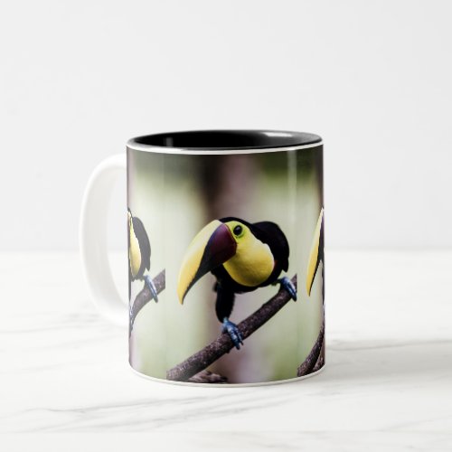 Toucan of Costa Rica Two_Tone Coffee Mug