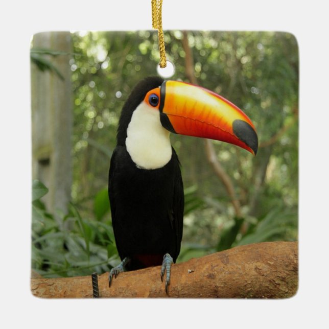 Toucan on tree branch ceramic ornament (Front)