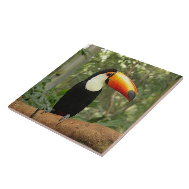 Toucan on tree branch ceramic tile (Side)