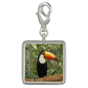 Toucan on tree branch charm