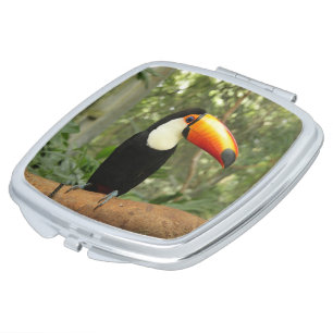 Toucan on tree branch compact mirror