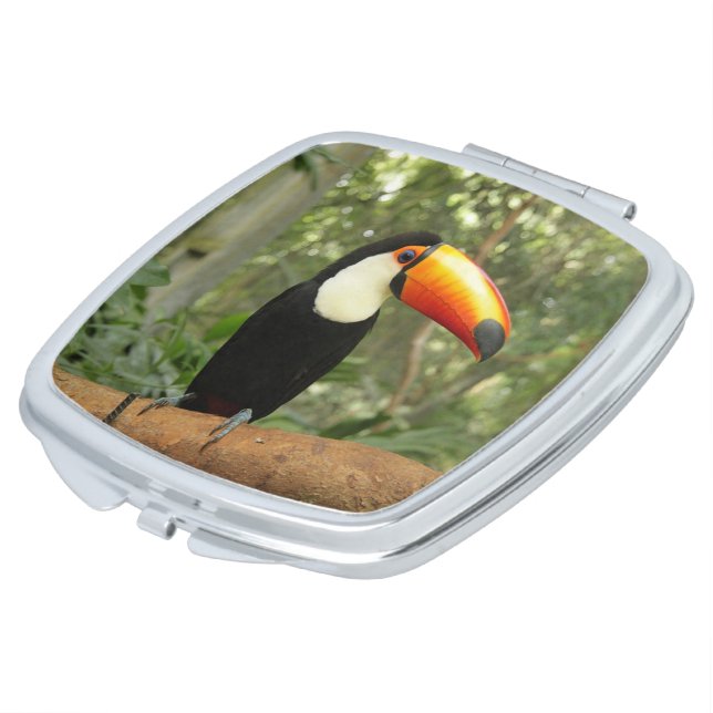 Toucan on tree branch compact mirror (Turned)