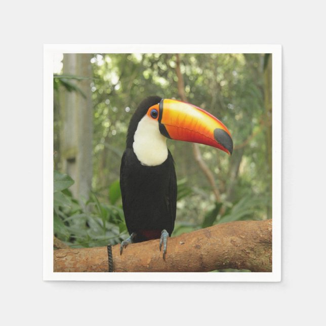 Toucan on tree branch napkins (Front)