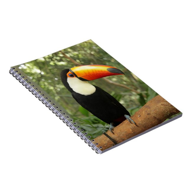 Toucan on tree branch notebook (Right Side)