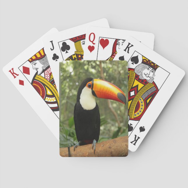 Toucan on tree branch poker cards (Back)