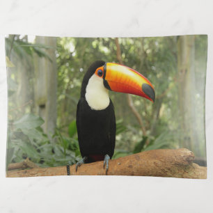 Toucan on tree branch trinket tray