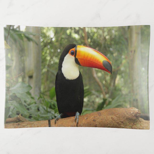 Toucan on tree branch trinket tray (Front)