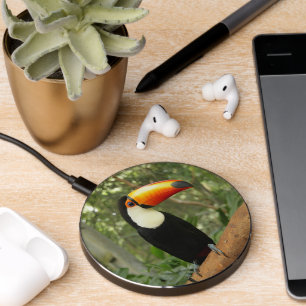 Toucan on tree branch wireless charger 