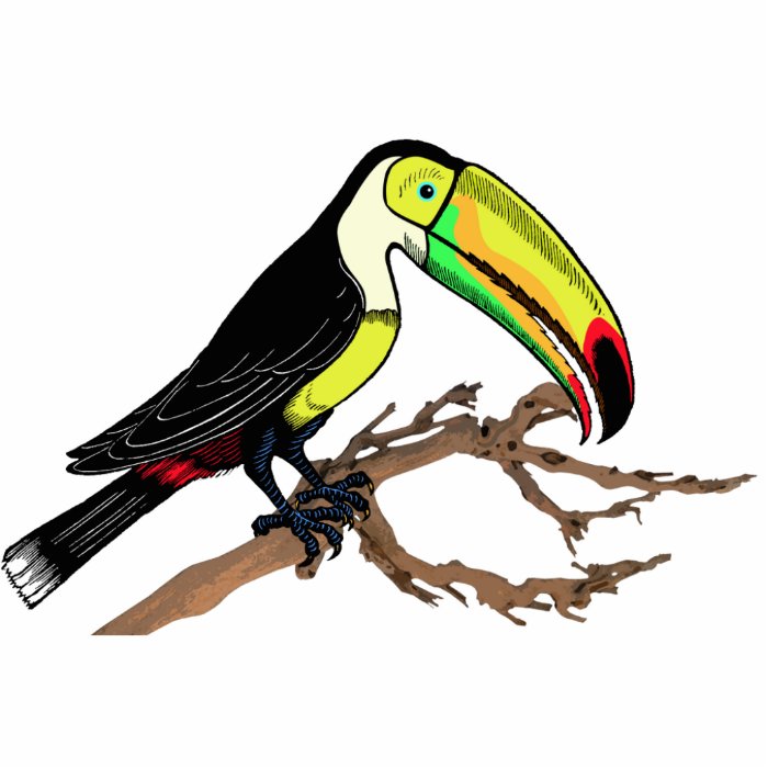 Toucan Photo Sculpture