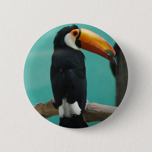 Toucan Pinback Button (Front)