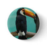 Toucan Pinback Button
